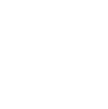 icon1